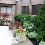 Image of Coes Pond Village (9)