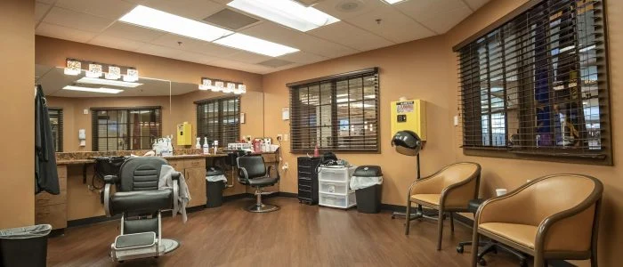 Image of Brigadier General Wendell H Gilbert Tn State Veter (5)