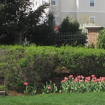 Image of Victorian Village Continuing Care Senior Community (3)