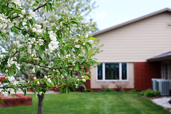 Image of Accura Healthcare Of Le Mars (4)