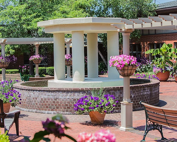 Image of Rae Ann Suburban (3)