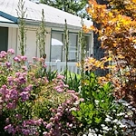 Image of Laurel Hill Nursing Center (9)