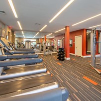 Image of The Elms at Clarksburg Village - Encore (3)