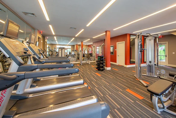 Image of The Elms at Clarksburg Village - Encore (3)