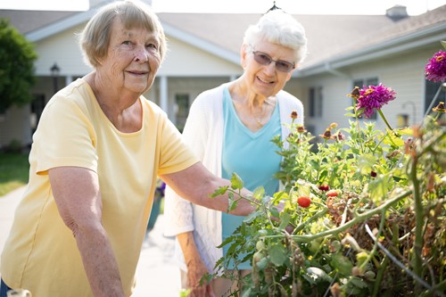 Image of Greene Senior Living (8)