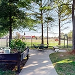 Image of Green Tree (9)