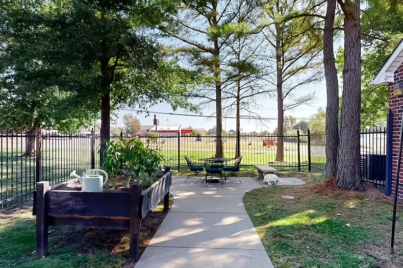 Image of Green Tree (9)