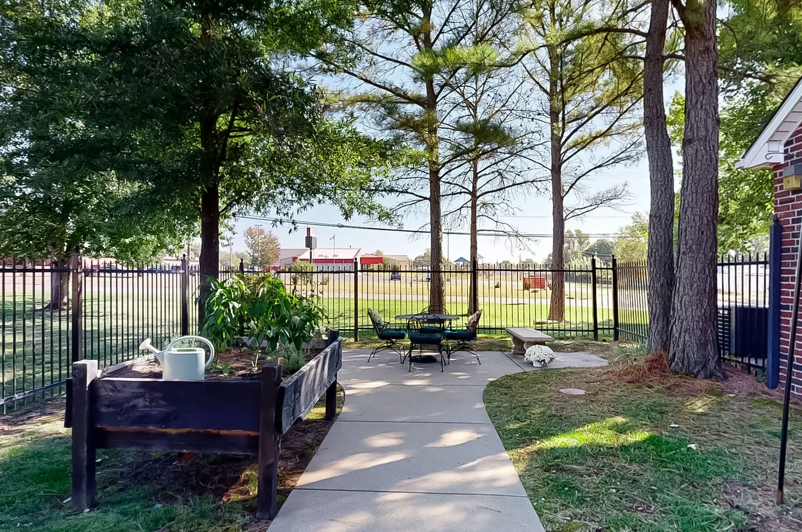 Image of Green Tree (9)