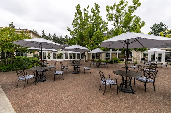 Image of Courtyard Fountains (10)