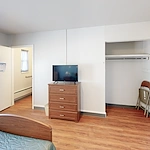 Image of Willow Tree (9)