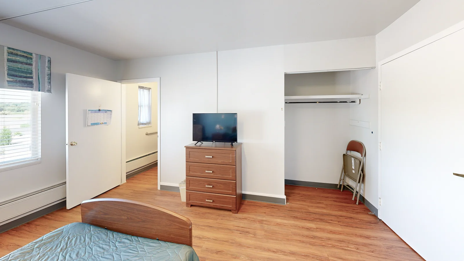 Image of Willow Tree (9)