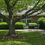 Image of Cypress Grove Rehabilitation Center (1)