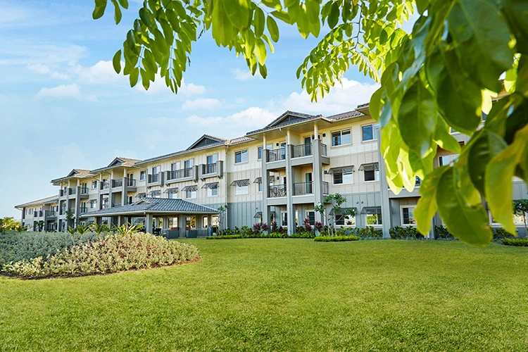 Image of Ilima at Leihano (2)