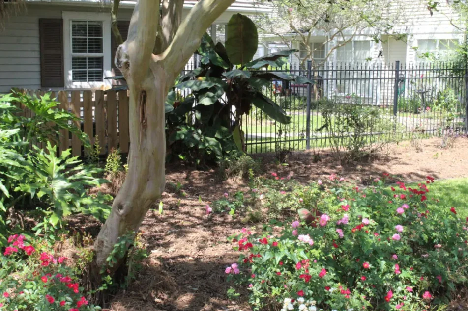 Southside Gardens
