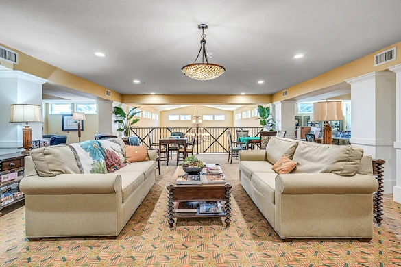 Image of Camellia at Deerwood (5)