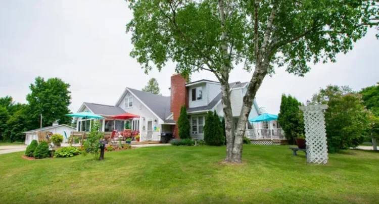 Image of Life of Riley - Meadows (1)