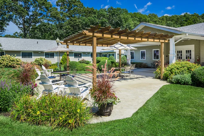 Image of Elderwood Of Scallop Shell At Wakefield (8)