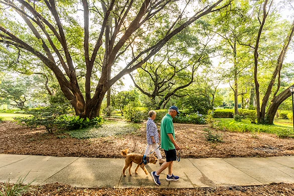 Image of Westminster Oaks (4)