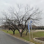 Image of Westminster Square (1)