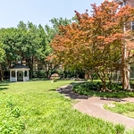 Image of Caruth Haven Court (8)