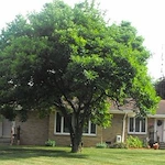 Image of Kra-Nur Manor (1)