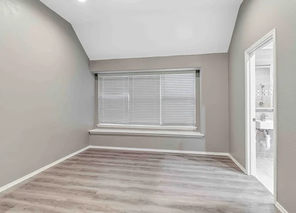 Image of Silver Leaf Frisco (6)