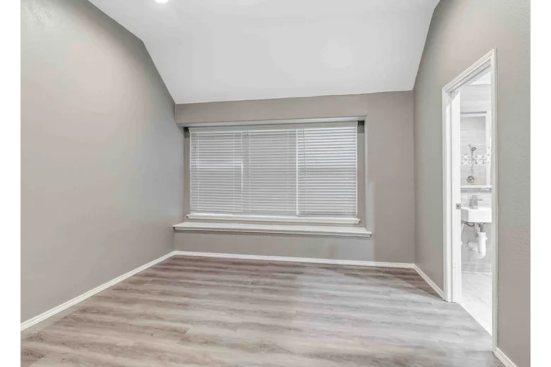 Image of Silver Leaf Frisco (6)