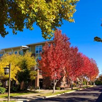 Image of The Terraces at Summitview Senior Living (2)