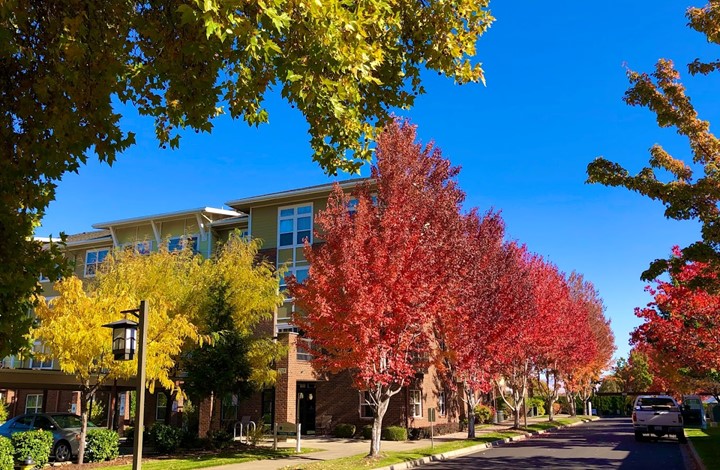 the-terraces-at-summitview-senior-living-image-1