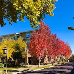 Image of The Terraces at Summitview Senior Living (2)