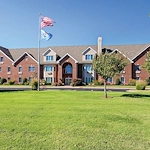 Image of Green Tree (1)