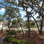 Image of The Marshes of Skidaway Island (9)