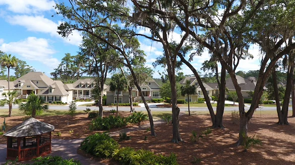 Image of The Marshes of Skidaway Island (9)