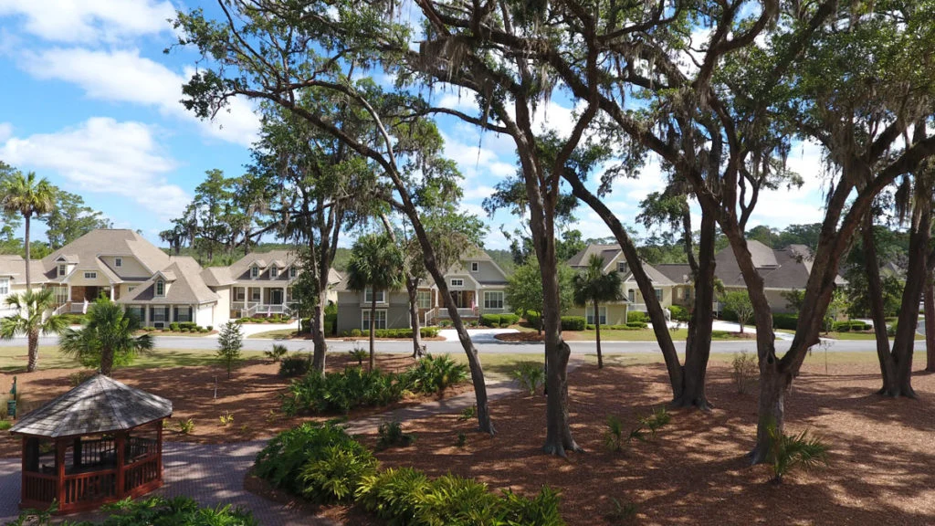 Image of The Marshes of Skidaway Island (9)
