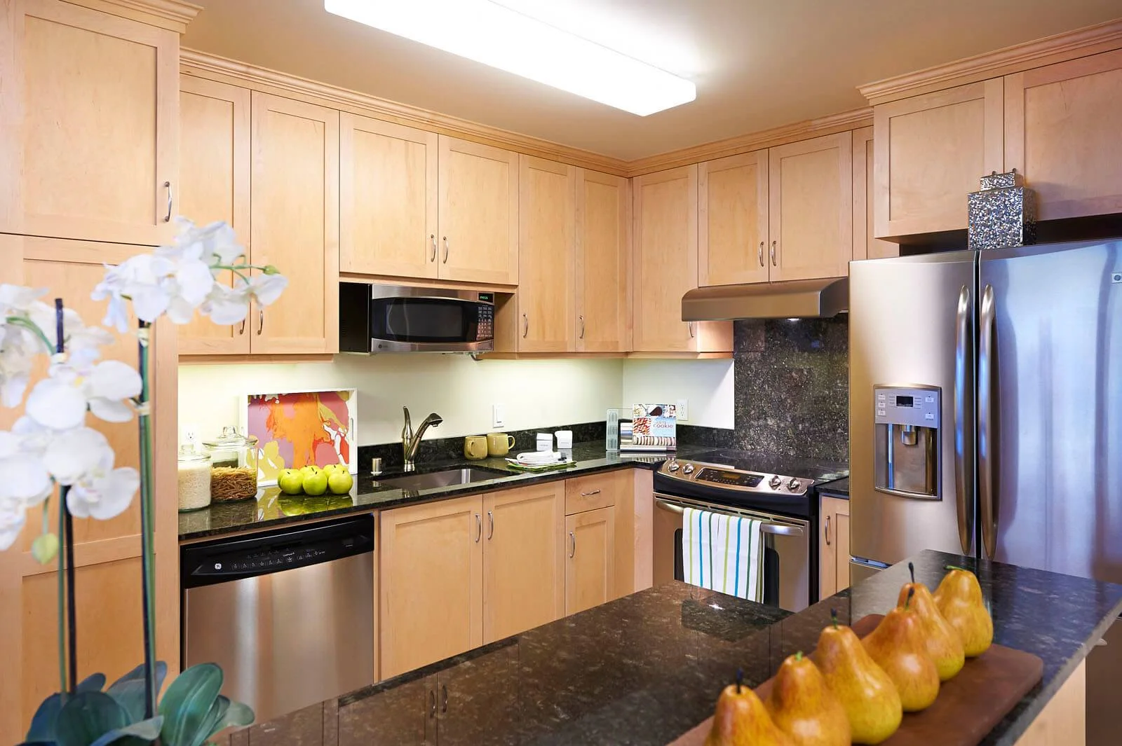 Image of Moldaw Residences (4)