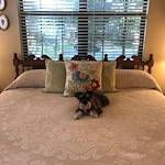 Image of The Lodge at Leon Springs (4)