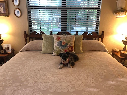 Image of The Lodge at Leon Springs (4)
