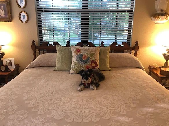 Image of The Lodge at Leon Springs (4)