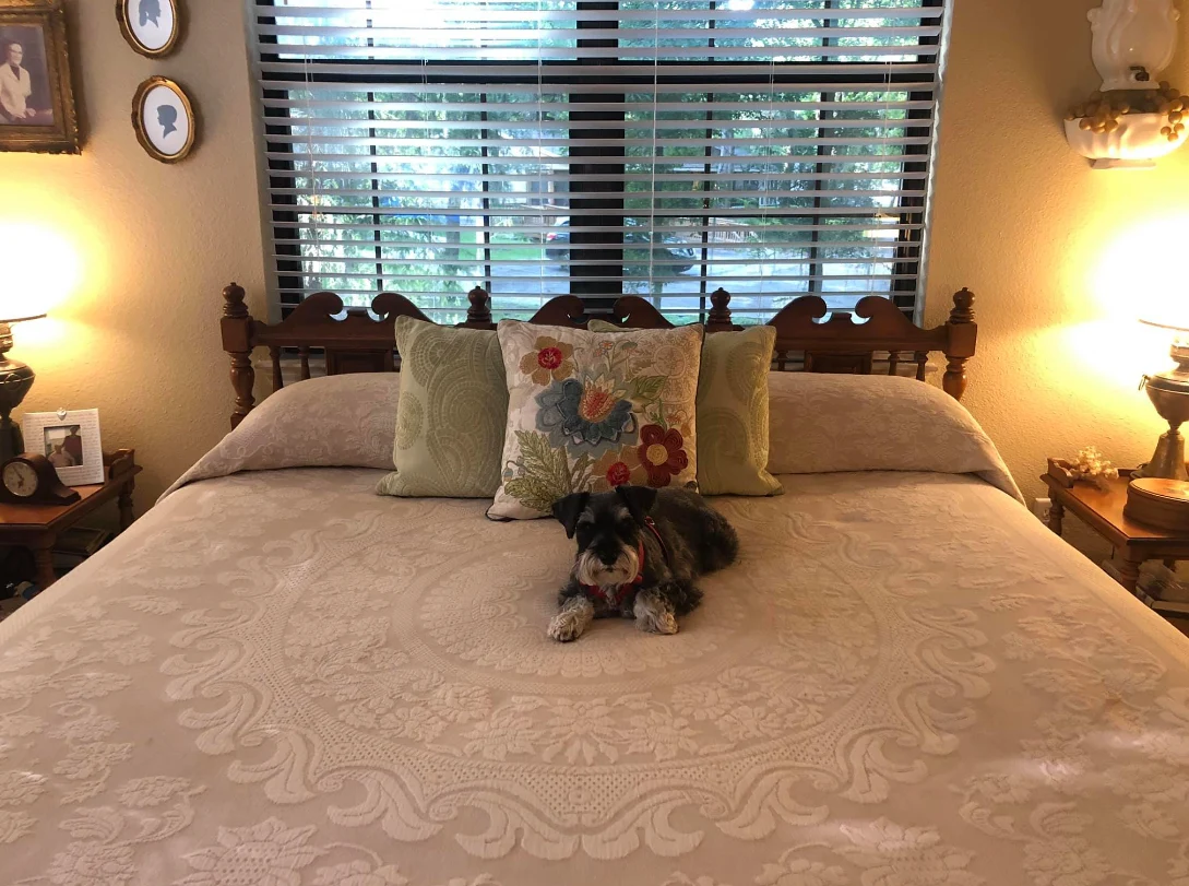 Image of The Lodge at Leon Springs (4)