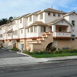 Image of Pacific Pines (1)