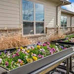 Image of Iris Memory Care of Rowlett (6)