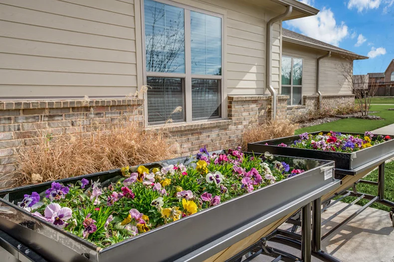 Image of Iris Memory Care of Rowlett (6)