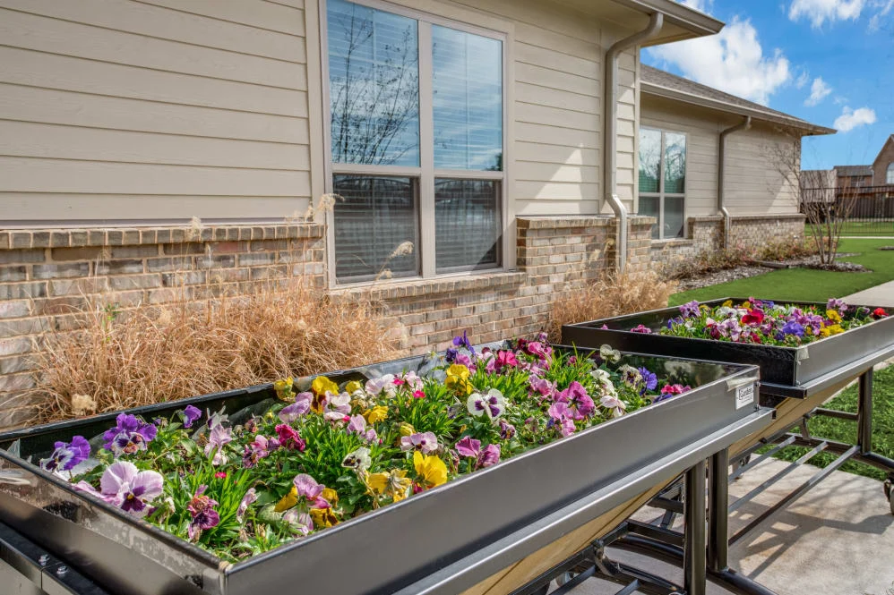 Image of Iris Memory Care of Rowlett (6)