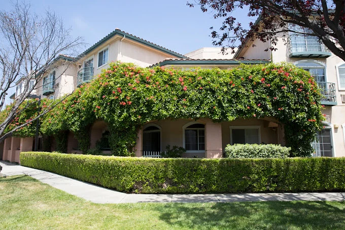 Image of Carlton Senior Living Fremont (1)