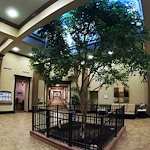 Image of Walnut Creek Nursing And Rehab (8)