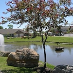 Image of Pebblebrook Villas (4)