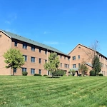 Image of Cherry Blossom (1)