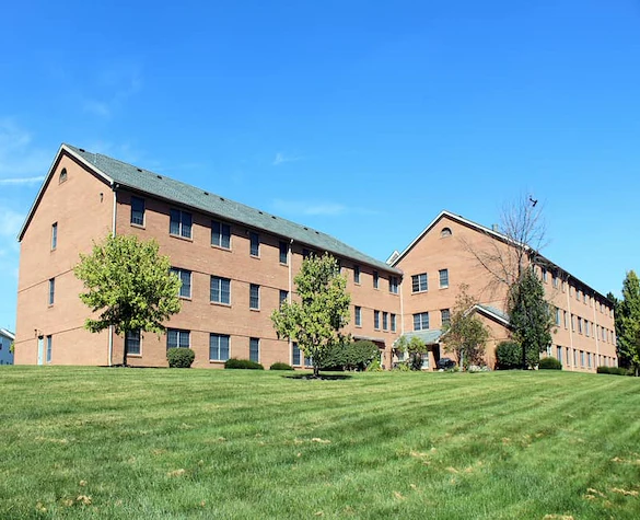 Image of Cherry Blossom (1)