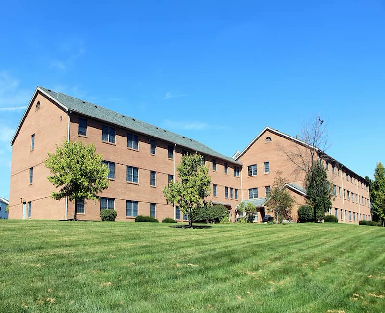 Image of Cherry Blossom (1)