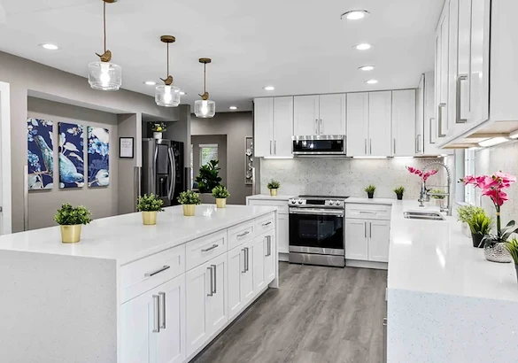 Image of Silver Leaf Graystone (9)